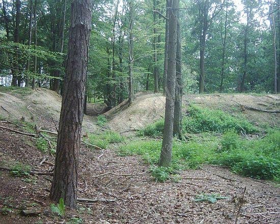 Opevnění u Švábů