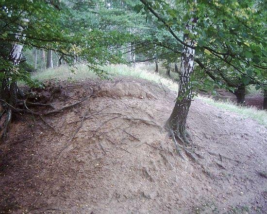 Opevnění u Švábů