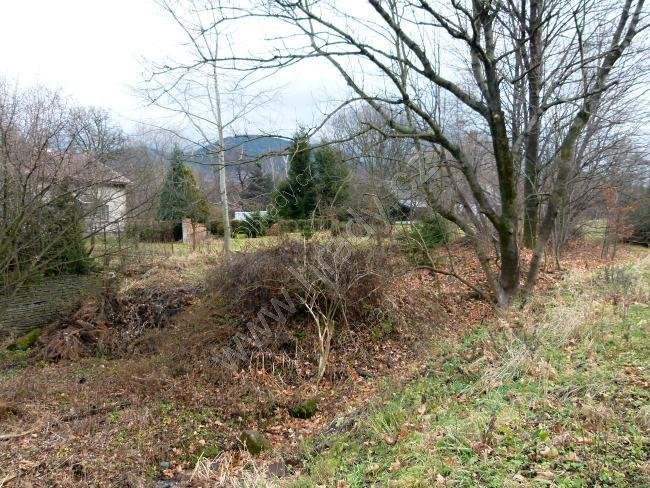 ostravický hamr č. III