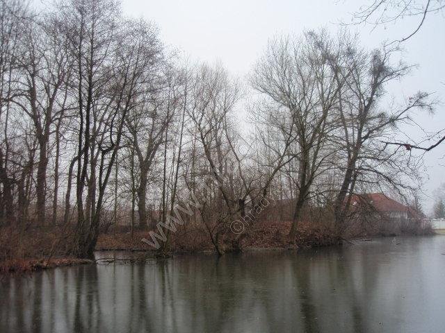 Ostrov