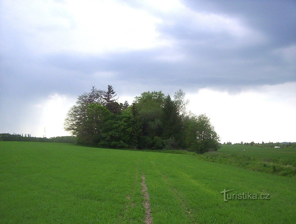 Otěhřiby-zalesněný hradní vršek-Foto:Ulrych Mir.
