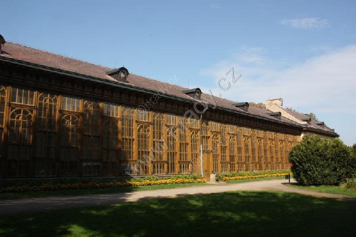palmový skleník