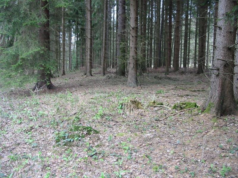 Panenská