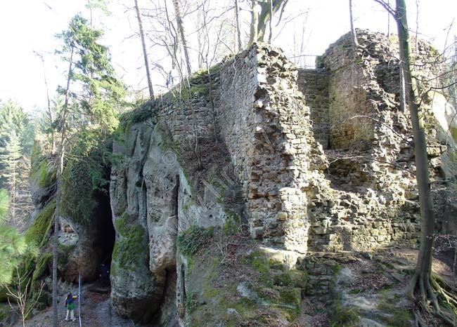 Pařez