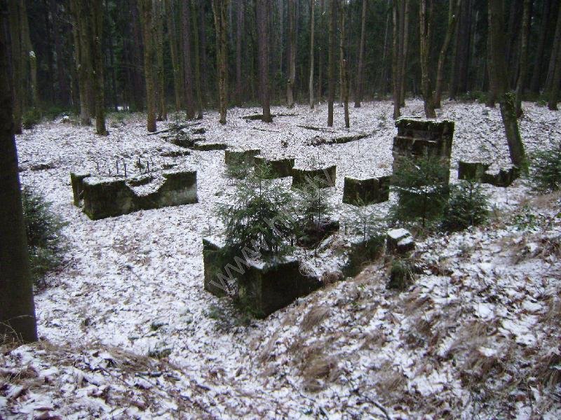 parní pila s železniční vlečkou