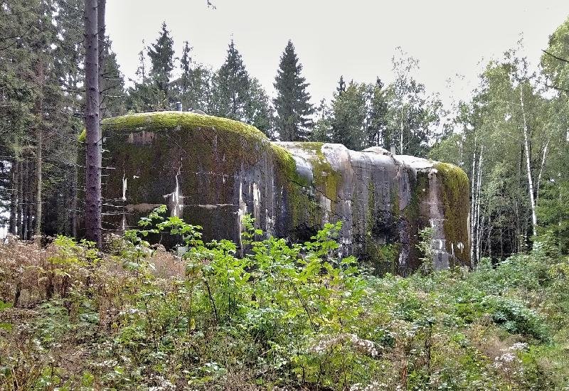 pěchotní srub N-S 49 Pod lesem