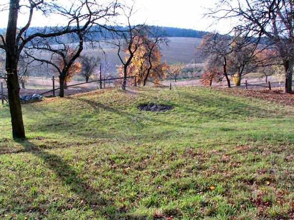 Petrovice