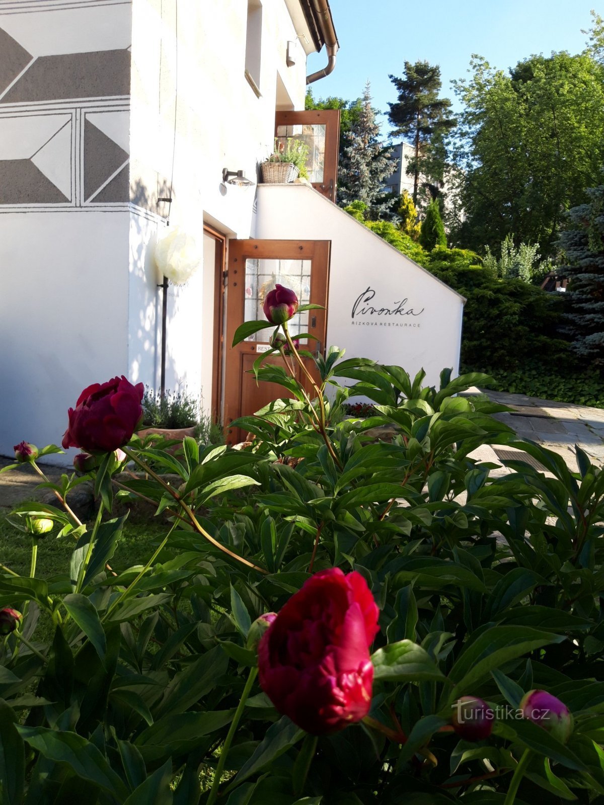 Pivoňka a řízek přes půl talíře v Českém Krumlově