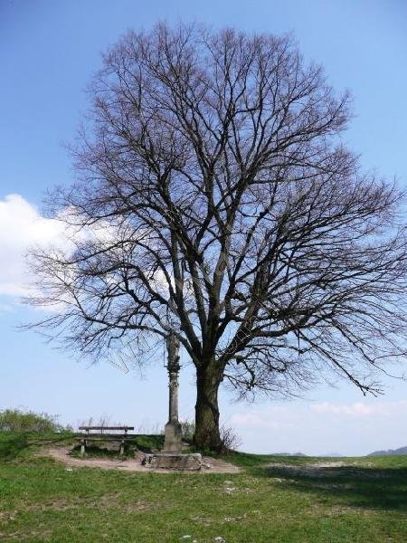 plastika Panny Marie pod Bílou horou