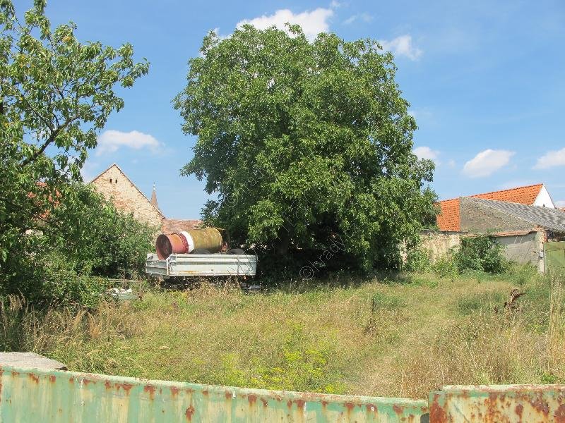 Plenkovice