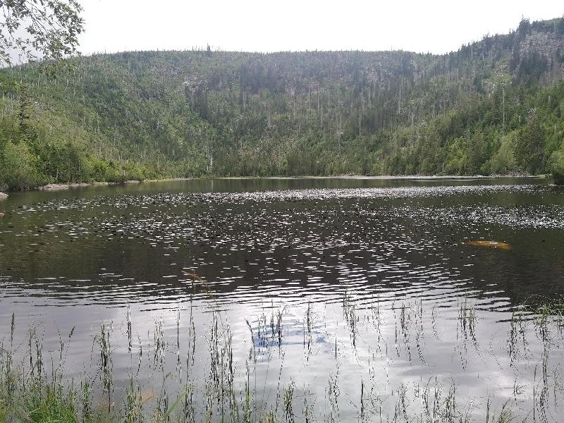 Plešné jezero