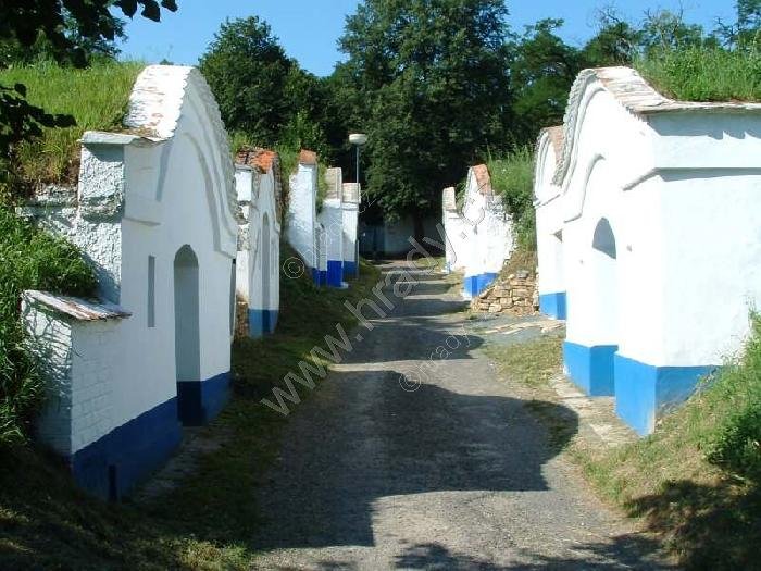 Plže