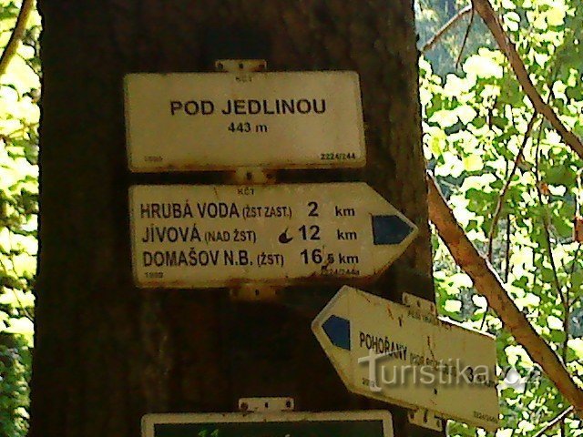 Pod jedinou