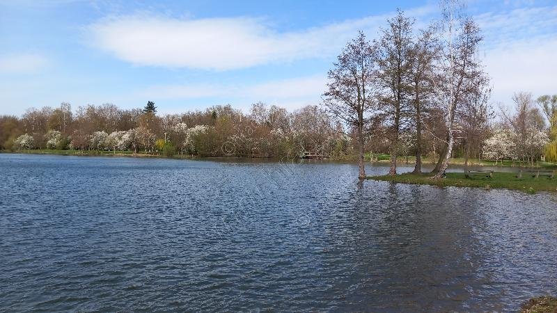 Poděbrady