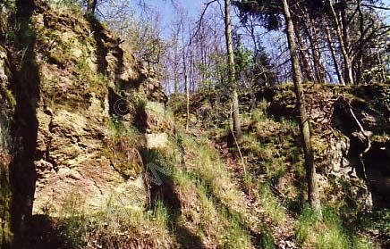 Poděhusy