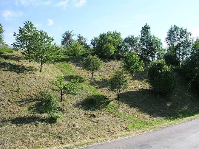 Podolí