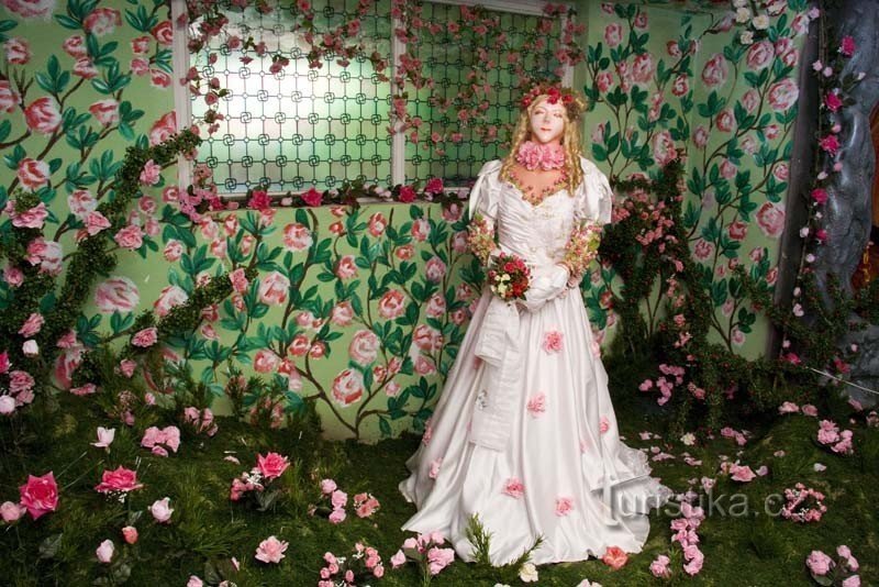 Pohádkové království - princezna