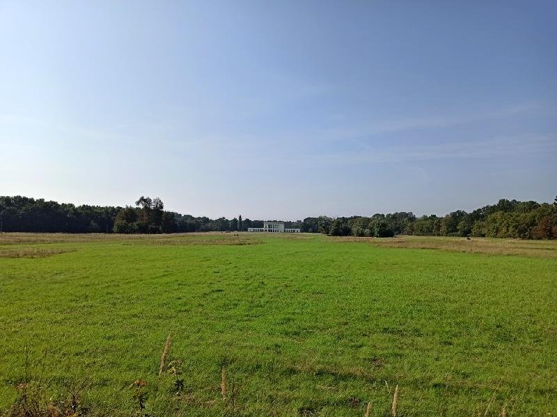 Pohansko