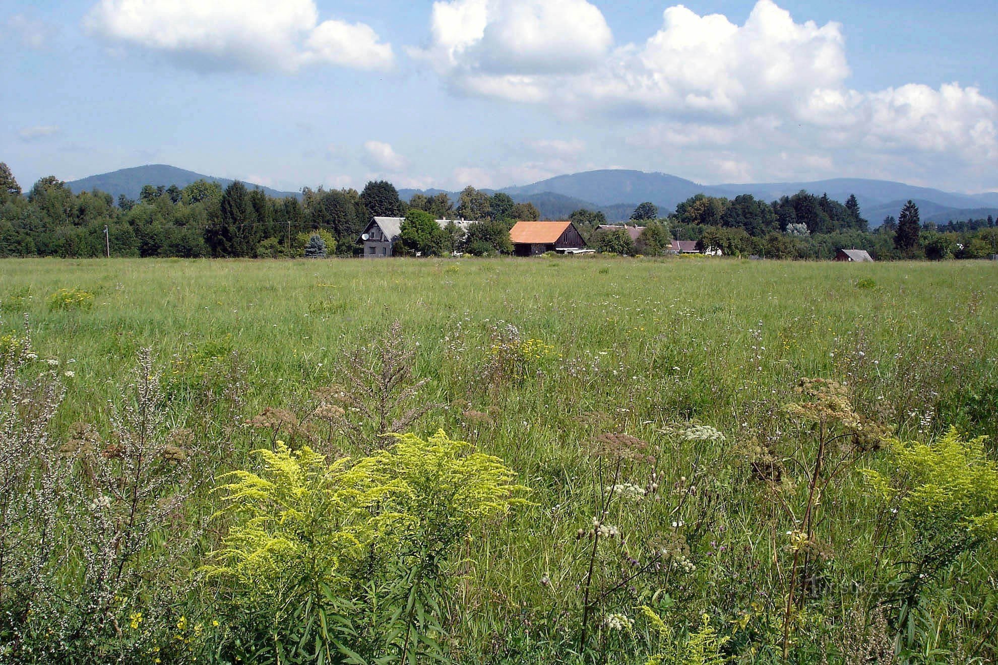 Pohled k Velkým Losinám