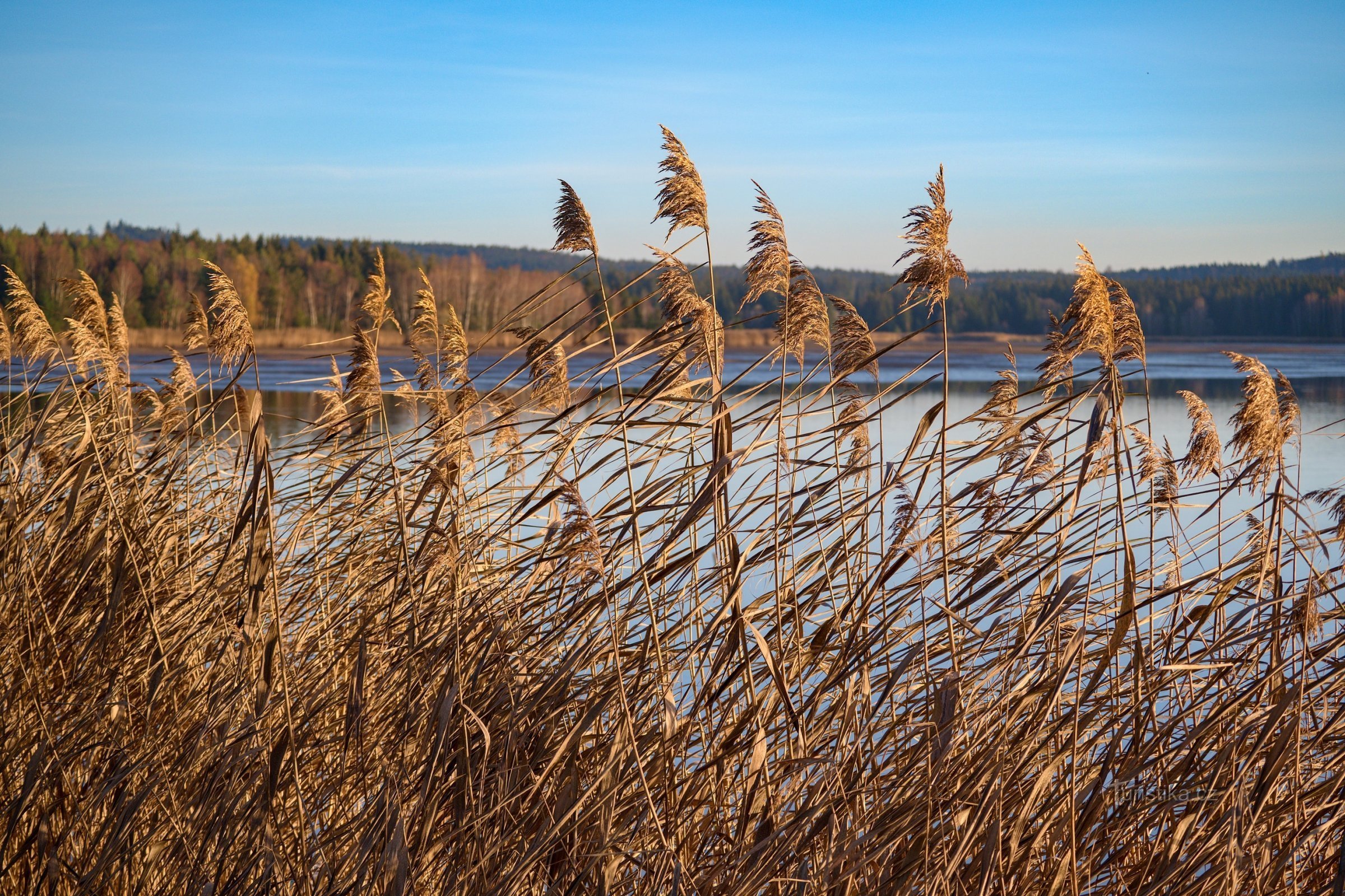 Pohled na Hořejší padrťský rybník při zapadajícím slunci.
