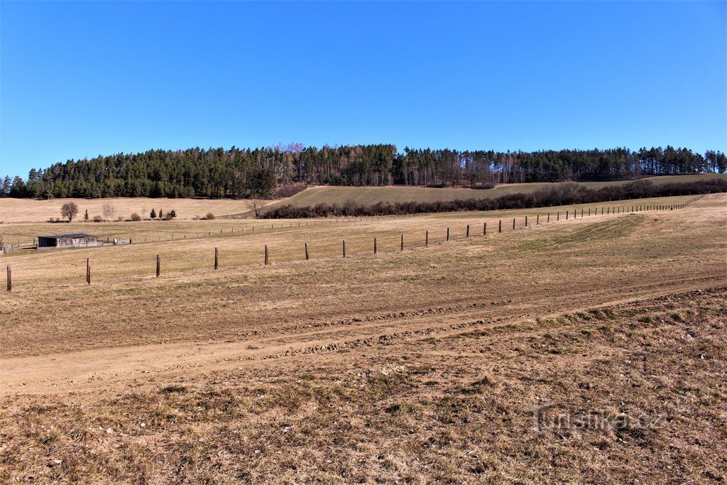 Pohled na Horu od západu