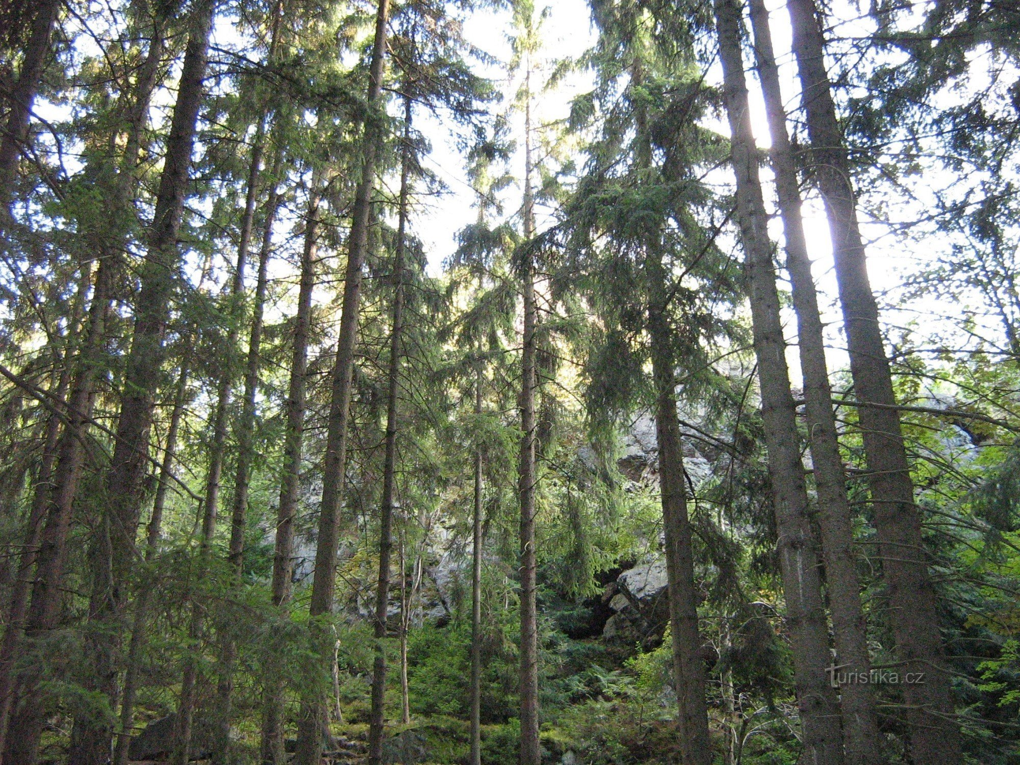 Pohled na okolní kopce