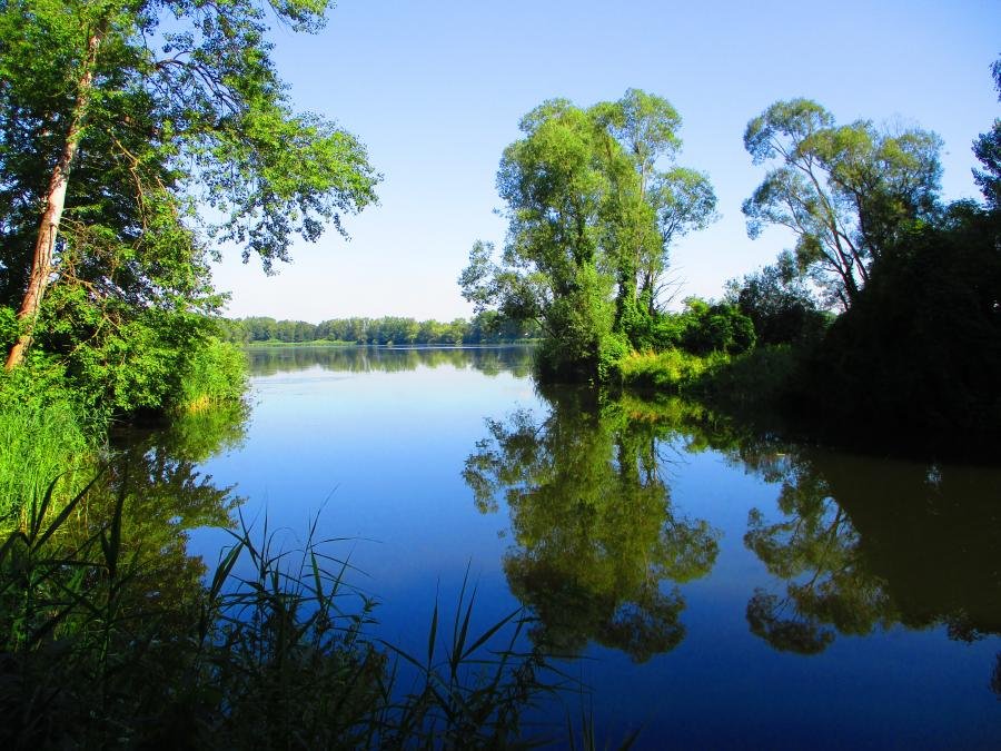 Pohránovský rybník