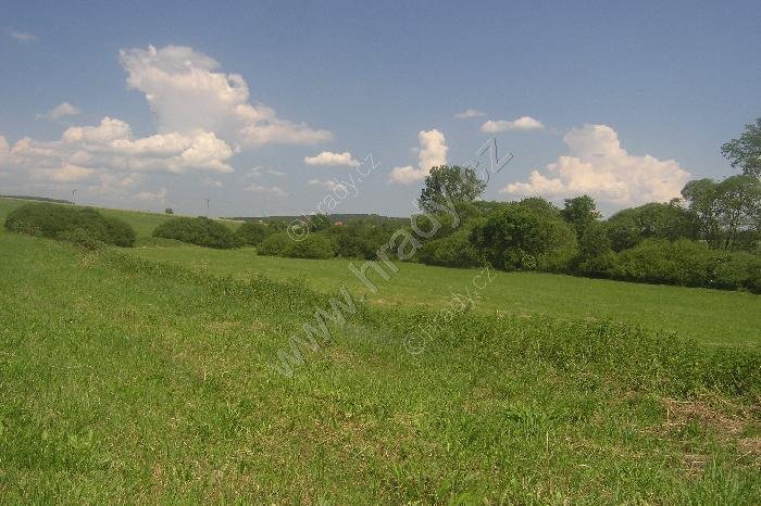 Pokonice