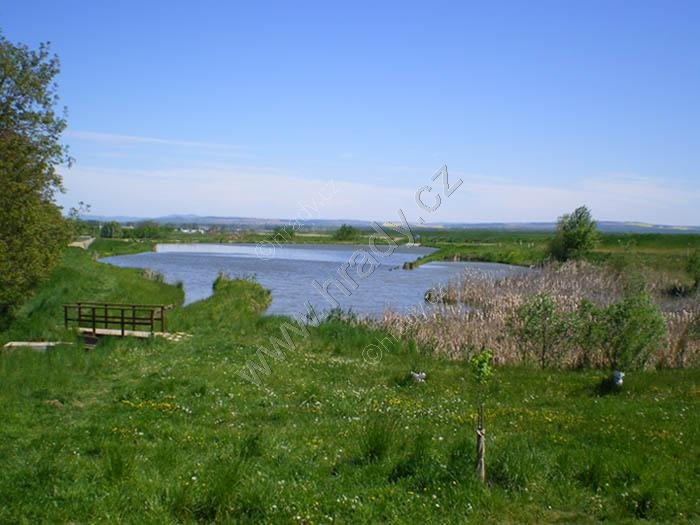 Polešovické rybníky