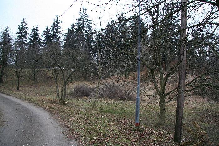 Popovec