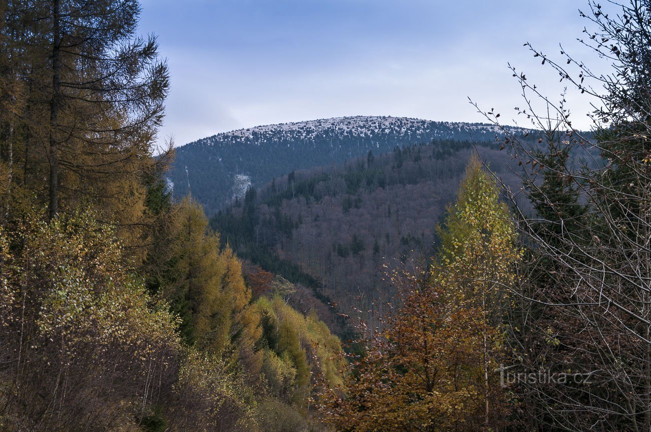Poprašek na Jelením hřbetu
