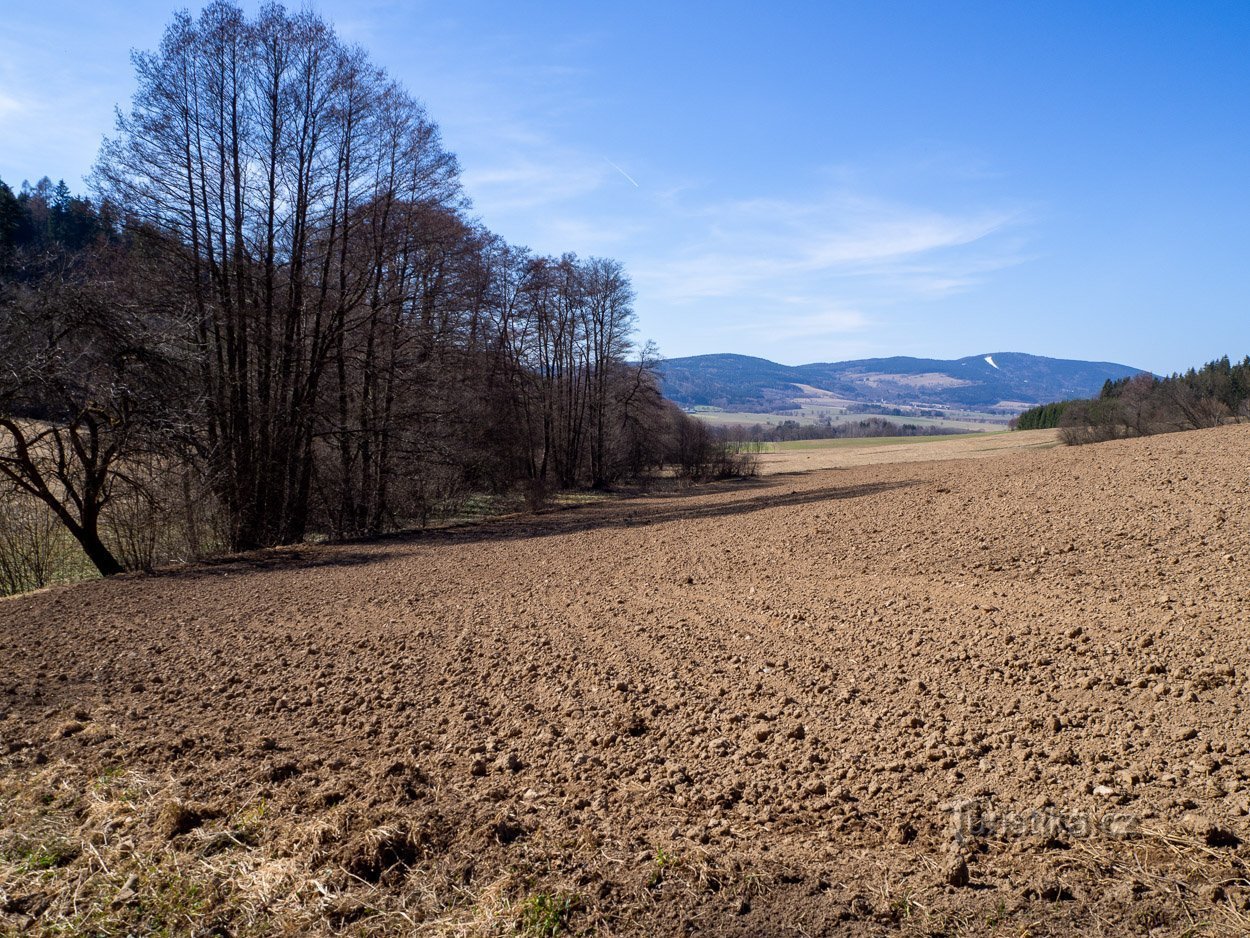 Potok teče směrem k Bukové hoře