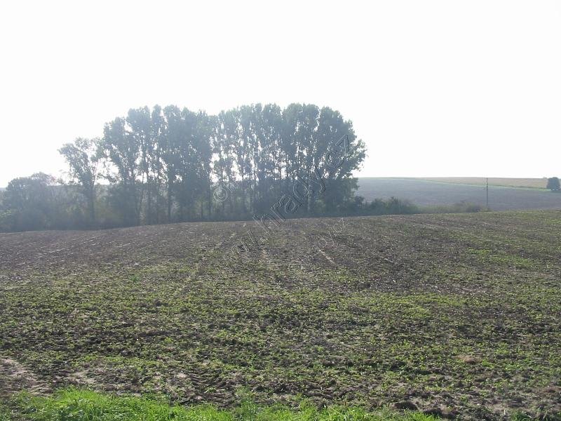 Potvorovice