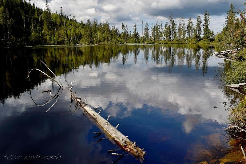 Prášilské jezero