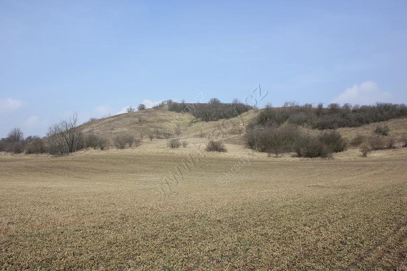 Prasklice