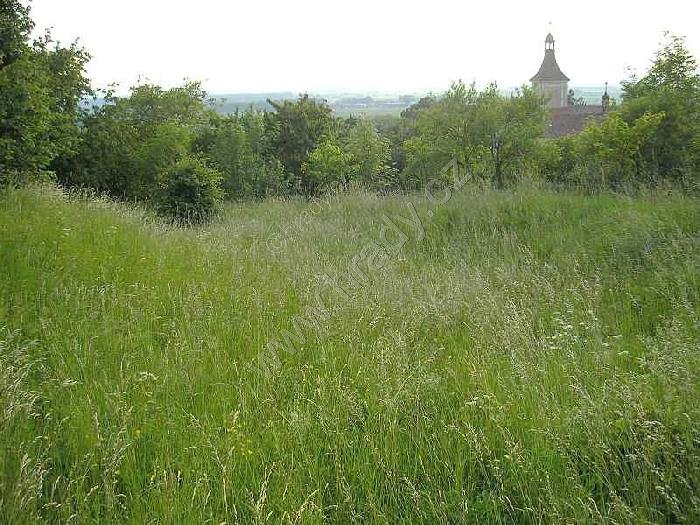 Přestavlky