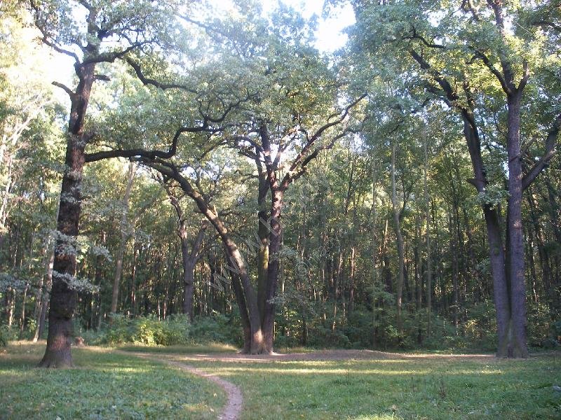 přírodní památka Bažantnice v Satalicích