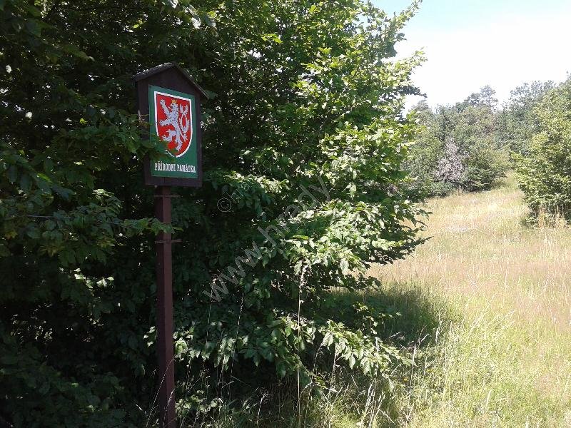 přírodní památka Hamerská stráň