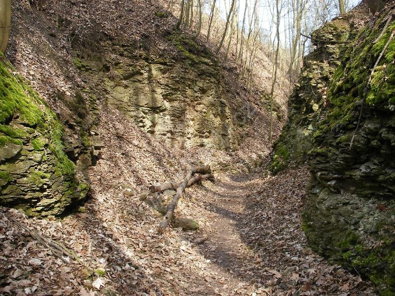 přírodní památka Housle