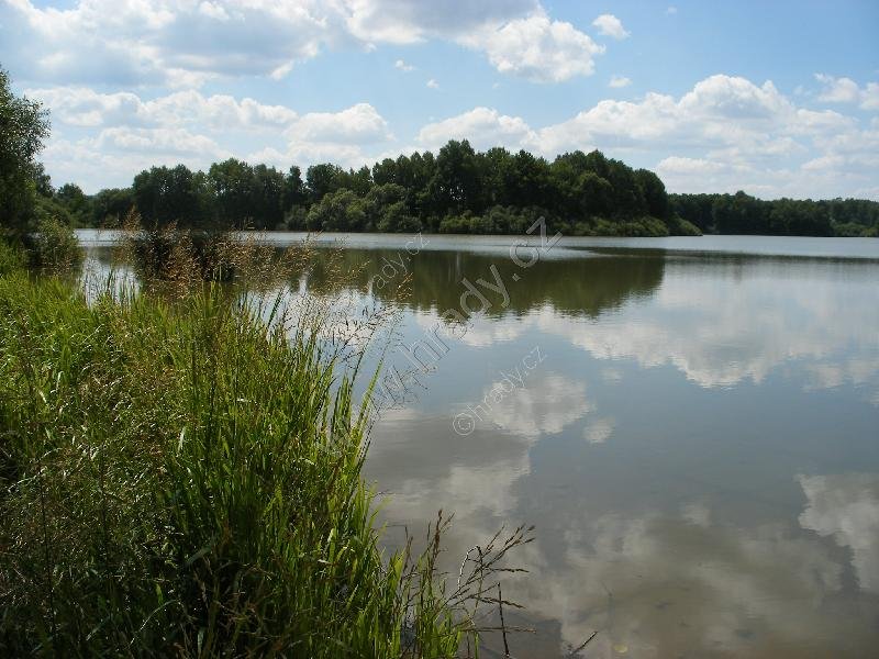 přírodní památka Kařezské rybníky