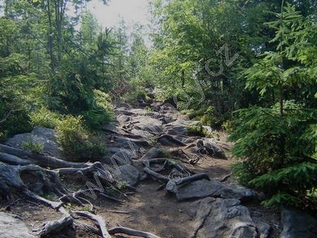 přírodní památka Malinská skála