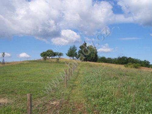 přírodní památka Pavlečkova skála