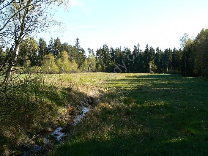 přírodní památka Prameny Javornice