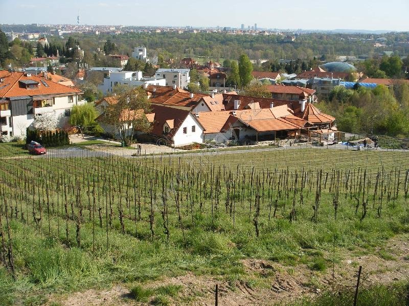 přírodní památka Salabka a stejnojmenná vinice s usedlostí