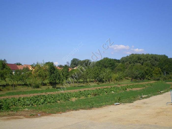 přírodní památka V olších