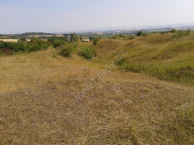 přírodní památka Vápenice na Velkém Kosíři