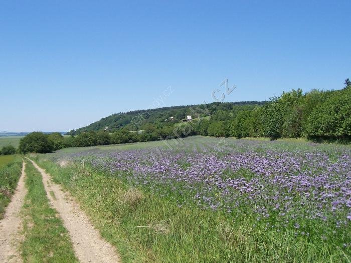 Přírodní park Velký Kosíř
