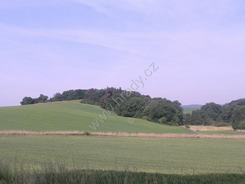 přírodní rezervace Kněží hora