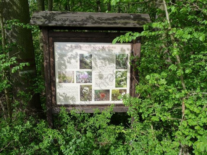 přírodní rezervace Myslivna