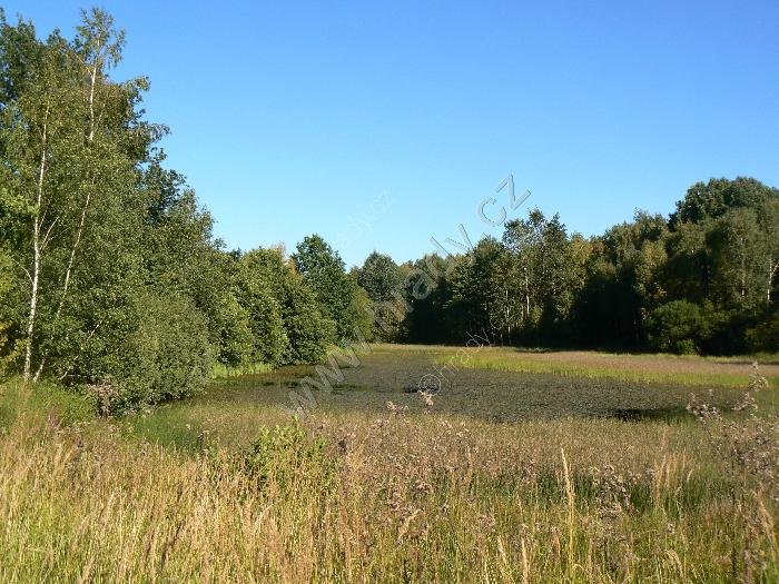 přírodní rezervace Plaviště